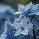آهنگ دل تو دلم نیست از لیتو و کوروش