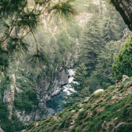 آهنگ مگه دست خودته تو دیگه مال منی مگه دست خودته تو دیگه مال منی