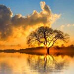 ریمیکس میخوام بازم مزه مزه کنم طعم لبتو