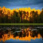 آهنگ دلم از دنیا گرفته از سمی لون