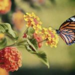 آهنگ میخوام تلافی بکنم چشای تو یادم میاد