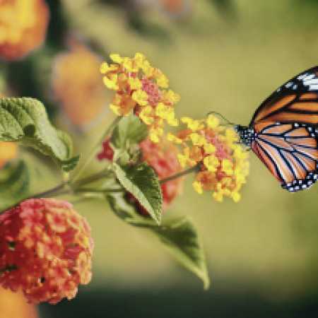 آهنگ میخوام تلافی بکنم چشای تو یادم میاد میخوام تلافی بکنم چشای تو یادم میاد