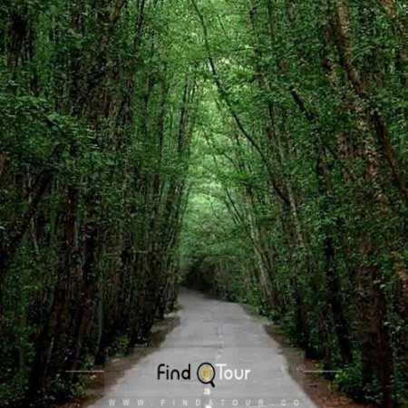 دانلود ریمیکس ﻓﻜﺮ ﻣﻨﻮ ﻧﻜﻦ ﺗﻮ ﻃﺎﻗﺘﻤﻮ ﺑﻴﺎر ﻣﻦ ﻃﺎﻗﺖ ﻧﻴﺎوردم ﺗﻮ ﺑﻪ ﺟﺎم دووم ﺑﻴﺎر ﻓﻜﺮ ﻣﻨﻮ ﻧﻜﻦ ﺗﻮ ﻃﺎﻗﺘﻤﻮ ﺑﻴﺎر ﻣﻦ ﻃﺎﻗﺖ ﻧﻴﺎوردم ﺗﻮ ﺑﻪ ﺟﺎم دووم ﺑﻴﺎر